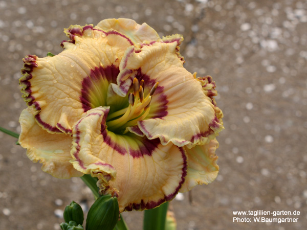 catalog/images/startseite/Keep on Looking.jpg